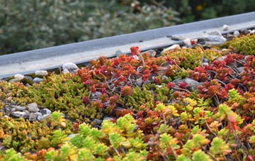 the cost of Ystrad Mynach green roof installation