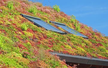 Ystrad Mynach living roof systems