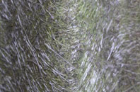 Ystrad Mynach fibreglass roof work